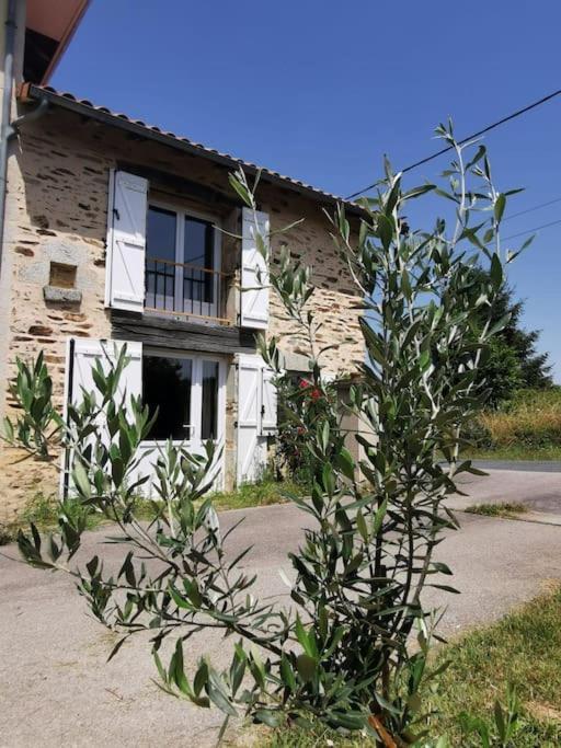 Villa La Grange De Pierrot Saint-Bazile Exterior foto